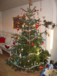 Her er vores juletrÃƒÂ¦