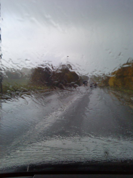 En snegl paa vejen er tegn på regn...