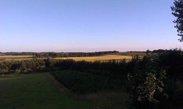 Udsigten fra kirkegården